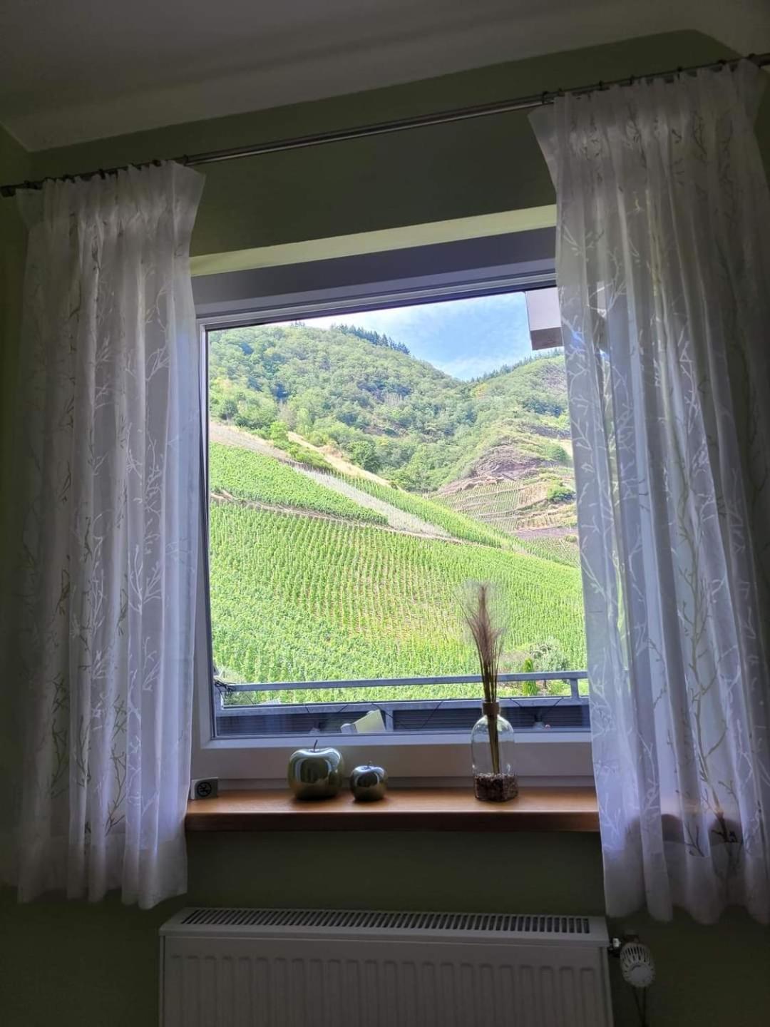 Ferienwohnung Haus Am Calmont Bremm Extérieur photo